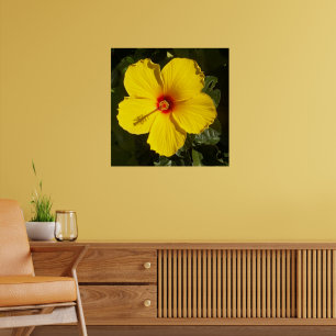 Affiche Fleur d'Hibiscus Jaune Paradis Tropical Mat