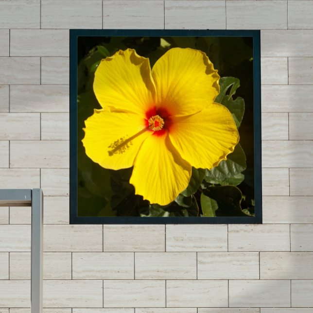 Affiche Fleur d'Hibiscus jaune petite (Créateur téléchargé)