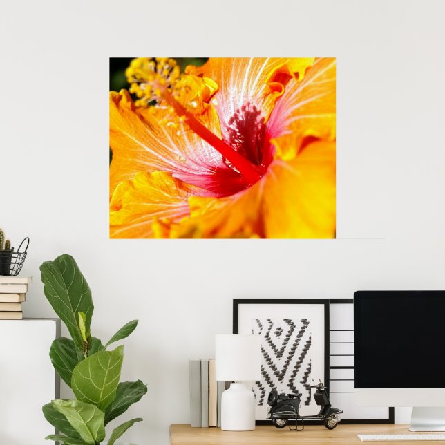 Affiche Fleur d'Hibiscus Orange Vue Latérale 30x24 (Bureau à domicile)