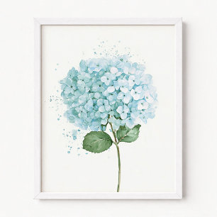 Affiche Fleur d'hortensia à l'aquarelle bleu pastel