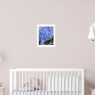Affiche Fleur d'Hydrangea à Tête Bleue