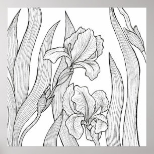 Affiche Fleur d'Iris conçue à l'encre noire