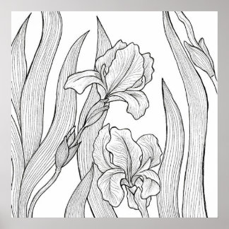 Affiche Fleur d'Iris conçue à l'encre noire