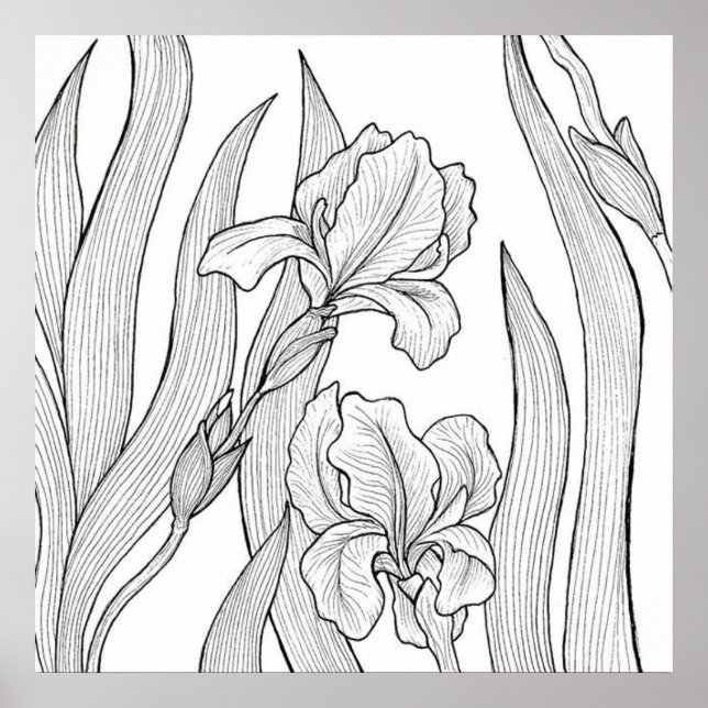 Affiche Fleur d'Iris conçue à l'encre noire (Devant)