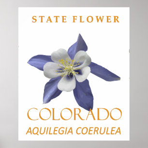 Affiche Fleur du territoire du Colorado Aquilegia coerulea
