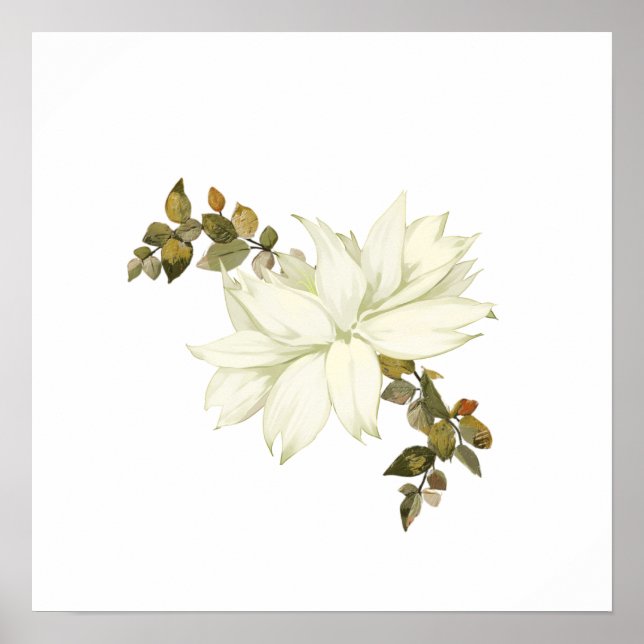 Affiche Fleur et feuillage blancs simplistes (Devant)