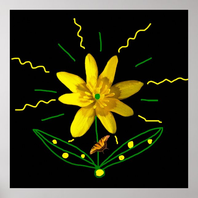 Affiche Fleur et Papillon (Devant)