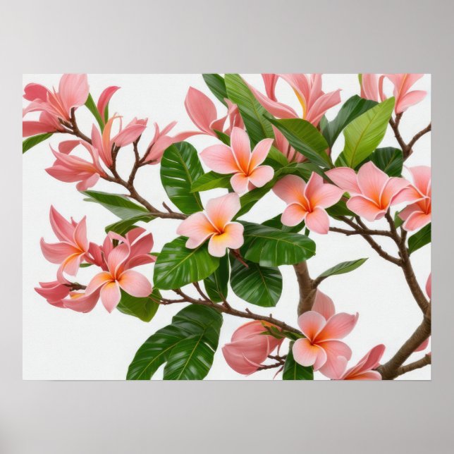 Affiche Fleur Frangipani rose (Devant)
