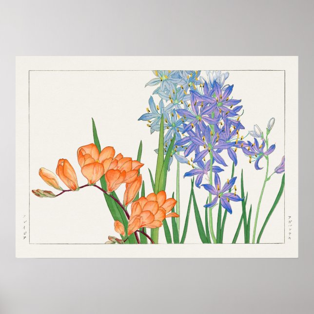 Affiche Fleur Freesia de Tanigami Kônan (1917) (Devant)