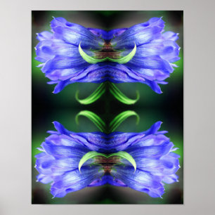 Affiche Fleur Gentienne Bleue Art Abstrait