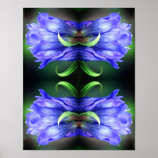 Affiche Fleur Gentienne Bleue Art Abstrait (Devant)