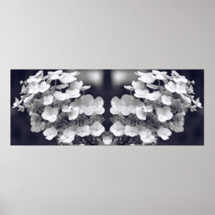 Affiche Fleur Hydrangea Noir et Blanc Miroir Abstrait