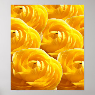 Affiche Fleur-Impressions I