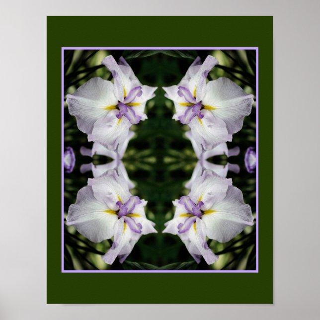 Affiche Fleur Iris Japonaise En Fleur Abstraite (Devant)