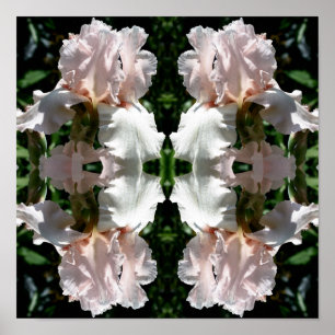 Affiche Fleur Iris Lourd Vers Le Haut Près Abstrait