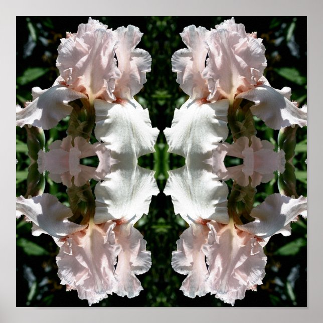 Affiche Fleur Iris Lourd Vers Le Haut Près Abstrait (Devant)