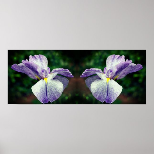 Affiche Fleur japonaise Iris dépliant miroir Abstrait (Devant)