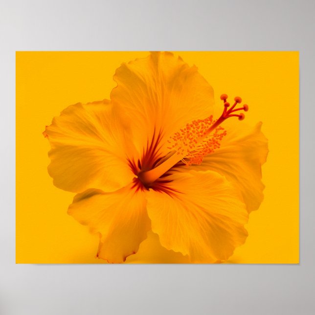 Affiche Fleur jaune (Devant)