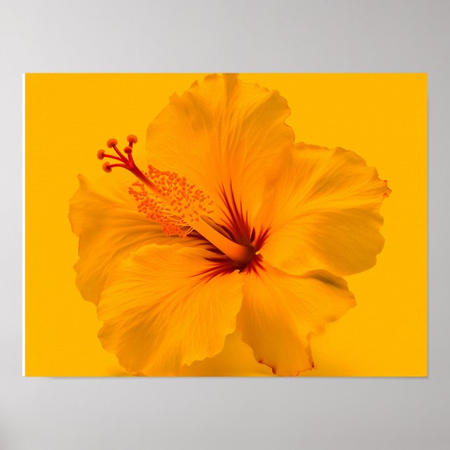 Affiche Fleur jaune (Devant)