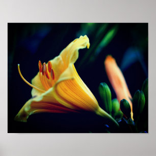 Affiche Fleur Lily Jaune intense