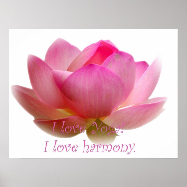 Affiche Fleur Lotus (Devant)