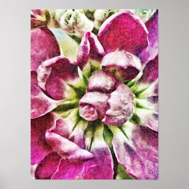 Affiche Fleur magenta Art photographique Abstrait (Devant)