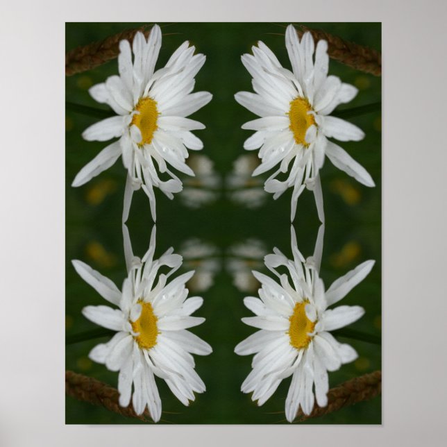 Affiche Fleur marguerite blanche Abstraite (Devant)