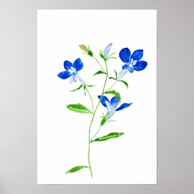Affiche fleur Marie aux yeux bleus (Devant)