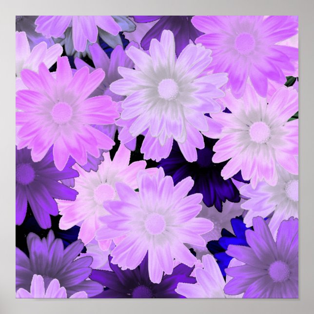 Affiche Fleur mauve (Devant)