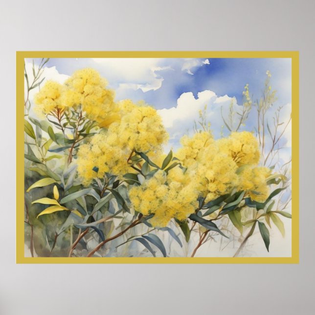 Affiche Fleur nationale Australie Golden Wattle | (Devant)