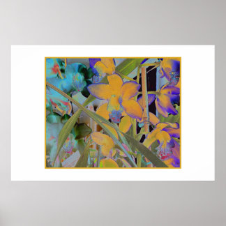 Affiche Fleur nocturne