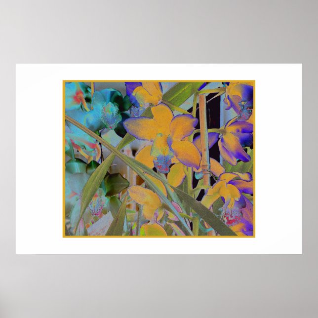 Affiche Fleur nocturne (Devant)