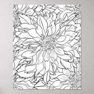 Affiche Fleur noire et blanche Dahlia