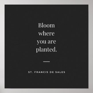 Affiche Fleur où vous avez planté St Francis de Sales