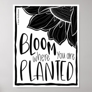 Affiche Fleur où vous êtes planté - Citation D'Art Tournes