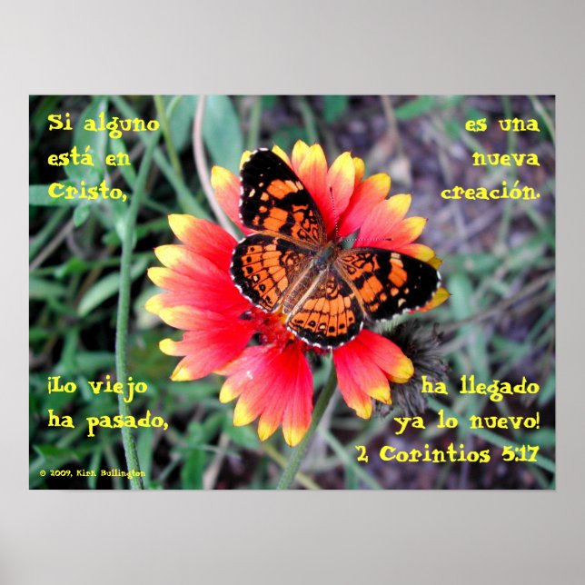 Affiche Fleur papillon—2 Corintios 5:17 (Devant)