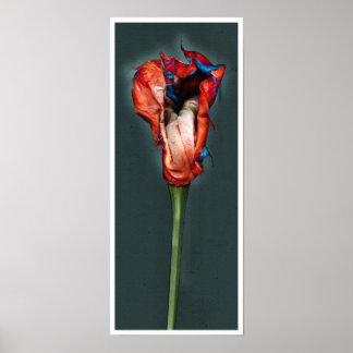 Affiche Fleur Passion #5