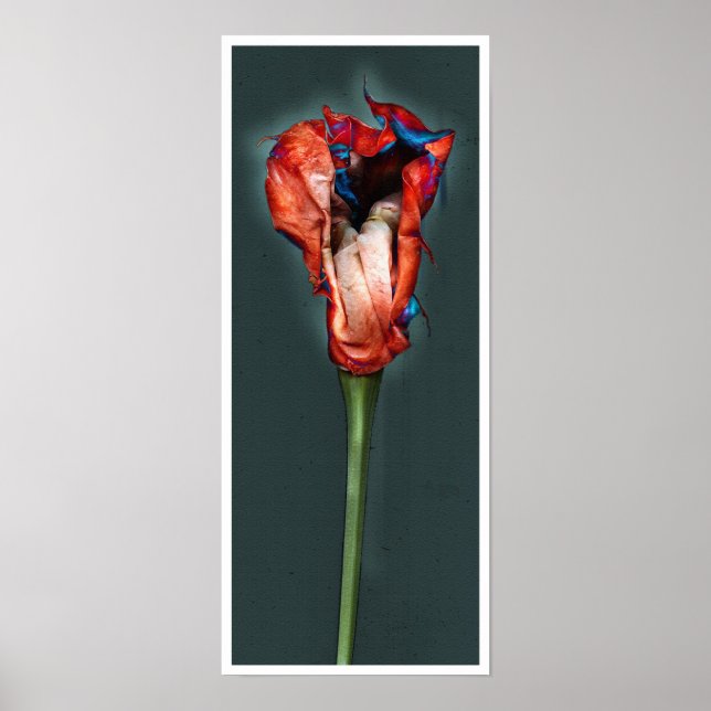 Affiche Fleur Passion #5 (Devant)