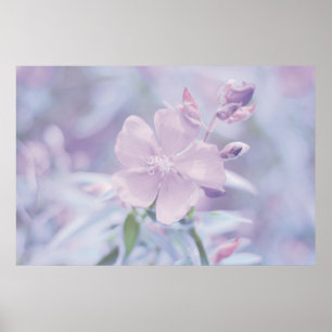Affiche Fleur Pastel