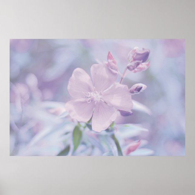 Affiche Fleur Pastel (Devant)