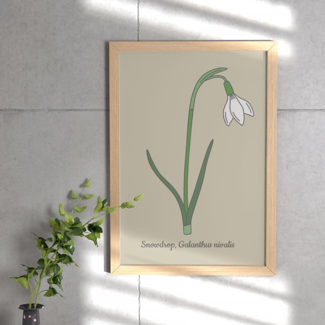 Affiche Fleur pastel botanique Snowdrop (Botanical Snowdrop Poster)