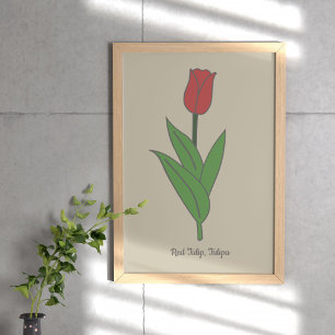 Affiche Fleur pastel de Tulipe rouge botanique