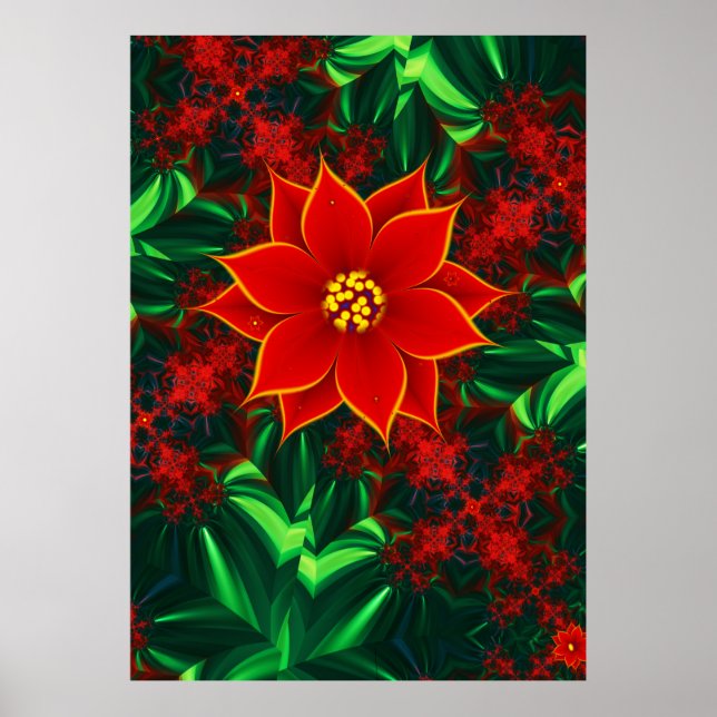Affiche Fleur Poinsettia (Devant)