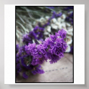Affiche Fleur pourpre