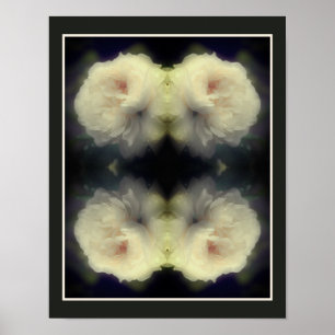 Affiche Fleur Rose Blanche En Pleine Fleur Abstraite