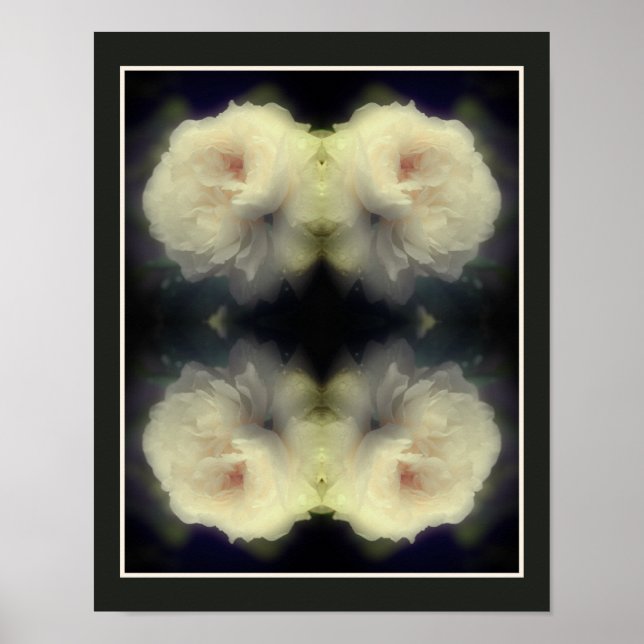 Affiche Fleur Rose Blanche En Pleine Fleur Abstraite (Devant)