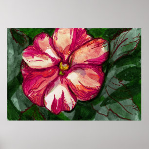 Affiche Fleur rose de baume