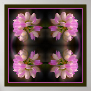 Affiche Fleur Rose Et Blanc Fermer Abstrait