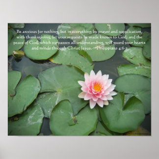 Affiche Fleur rose et verte Lily Pad avec Verso Bible