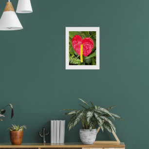 Affiche Fleur Rouge Laceleaf Photographie florale